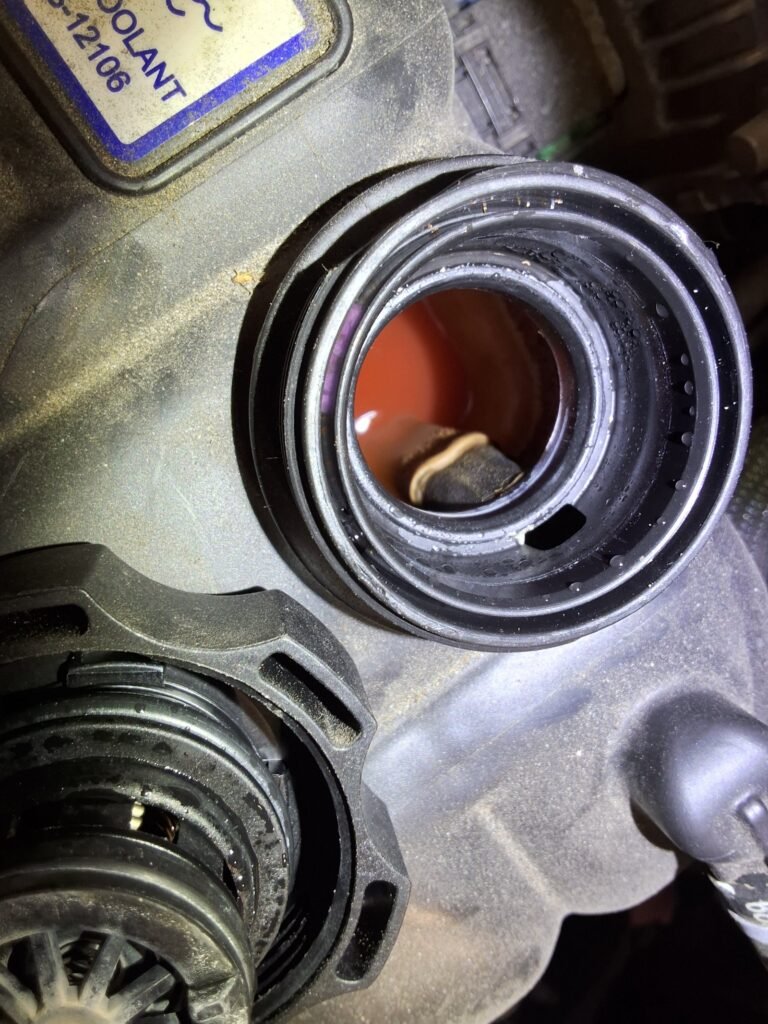 Coolant reservoir and cooling system hoses being inspected in a vehicle engine compartment.